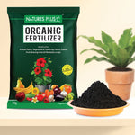 Load image into Gallery viewer, Organic Fertilizer – 1 Kg (Pack of 2)