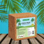 Load image into Gallery viewer, Coco Peat Block – Coir Fiber – 1 Kg (Pack of 2)