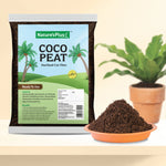 Load image into Gallery viewer, Coco Peat -1 kg (Pack of 2)