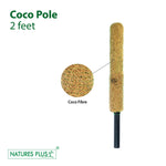 Load image into Gallery viewer, Coco Pole – 2 Feet