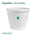 Load image into Gallery viewer, Coral Pot White 9 Inch (Pack of 3)