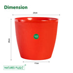 Load image into Gallery viewer, Divine Pot Red – 9 Inch (Pack of 2)