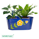 Load image into Gallery viewer, Metal Railing Oval Tub – Blue (Pack of 2)