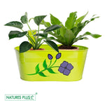 Load image into Gallery viewer, Metal Railing Oval Tub – Green (Pack of 2)