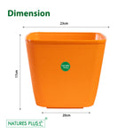 Load image into Gallery viewer, Dream Pot Orange – 9 Inch (Pack of 2)