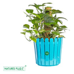 Load image into Gallery viewer, Fence Pot Blue – 11 inch (Pack of 2)