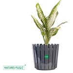 Load image into Gallery viewer, Fence Pot Grey – 11 inch (Pack of 2)