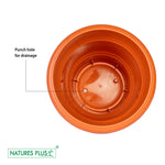 Load image into Gallery viewer, Flower Pot 100 Brown – 10 inch (Pack of 2)