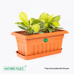 Load image into Gallery viewer, Garden King Brown – 10 inch (Pack of 2)