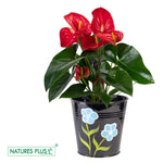 Load image into Gallery viewer, Metal Railing Single Hook – Black (Pack of 2)