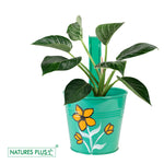 Load image into Gallery viewer, Metal Railing Single Hook – Green (Pack of 2)