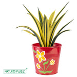 Load image into Gallery viewer, Metal Railing Single Hook – Marron (Pack of 2)