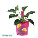 Load image into Gallery viewer, Metal Railing Single Hook – Pink (Pack of 2)