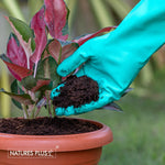 Load image into Gallery viewer, Garden Nitrile Gloves (Green)