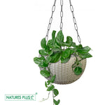 Load image into Gallery viewer, Rattan Hanging Pot 8 Inch Grey (Pack of 6)