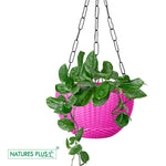 Load image into Gallery viewer, Rattan Hanging Pot 8 Inch Pink (Pack of 6)