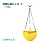 Load image into Gallery viewer, Rattan Hanging Pot 8 Yellow (Pack of 6)