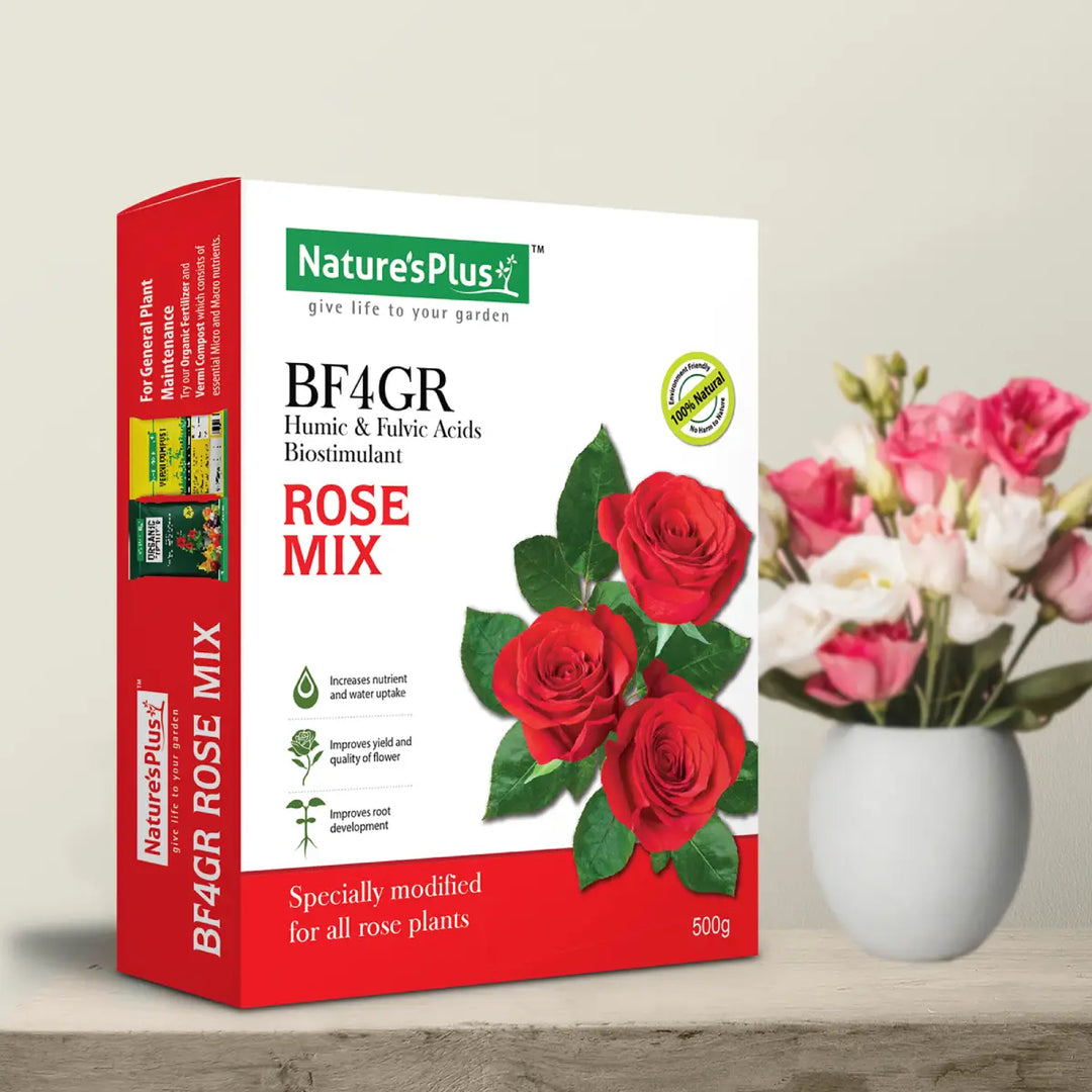 Rose Mix – 500 gm