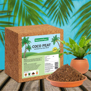 Coco Peat Block – Coir Fiber – 1 Kg (Pack of 2)