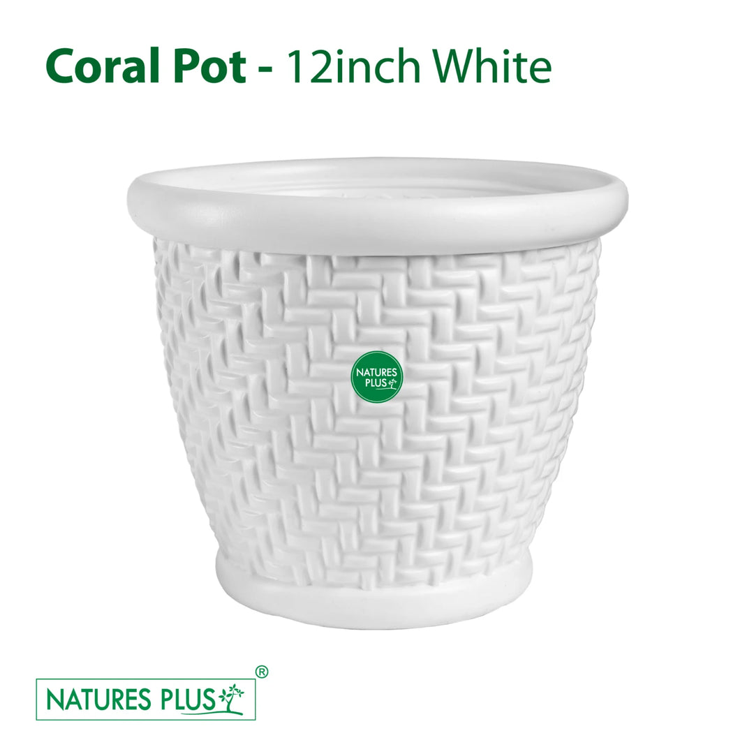 Coral Pot White – 12 Inch (Pack of 2)