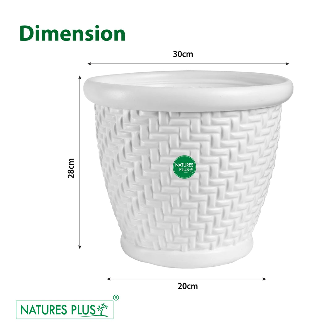 Coral Pot White – 12 Inch (Pack of 2)