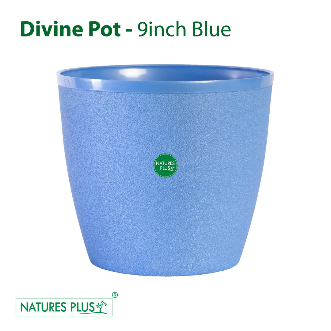 Divine Pot Blue – 9 Inch (Pack of 2)