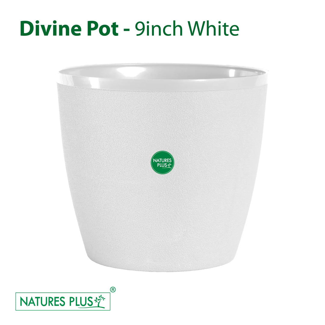 Divine Pot White- 9 Inch (Pack of 2)