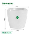 Load image into Gallery viewer, Divine Pot White- 9 Inch (Pack of 2)
