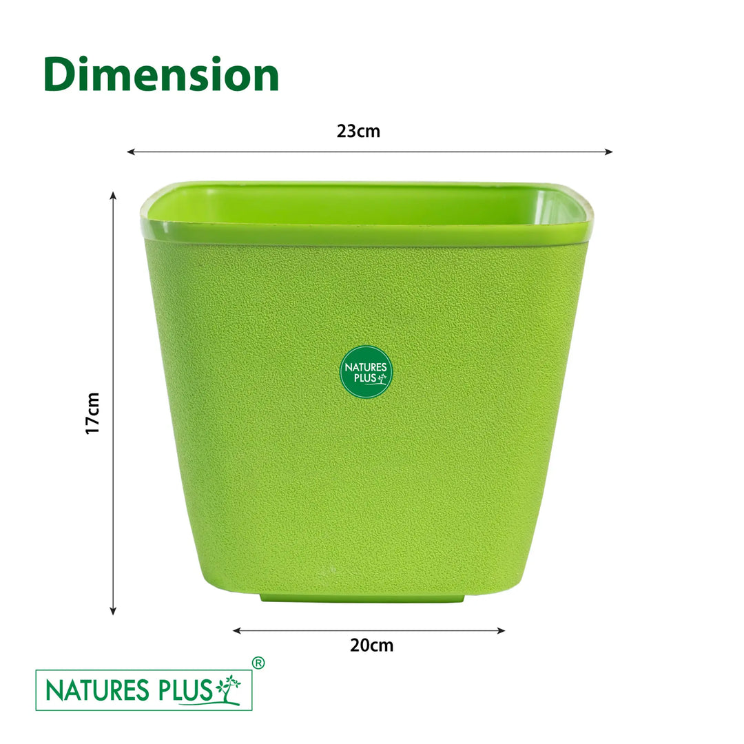 Dream Pot Green – 9 Inch (Pack of 2)