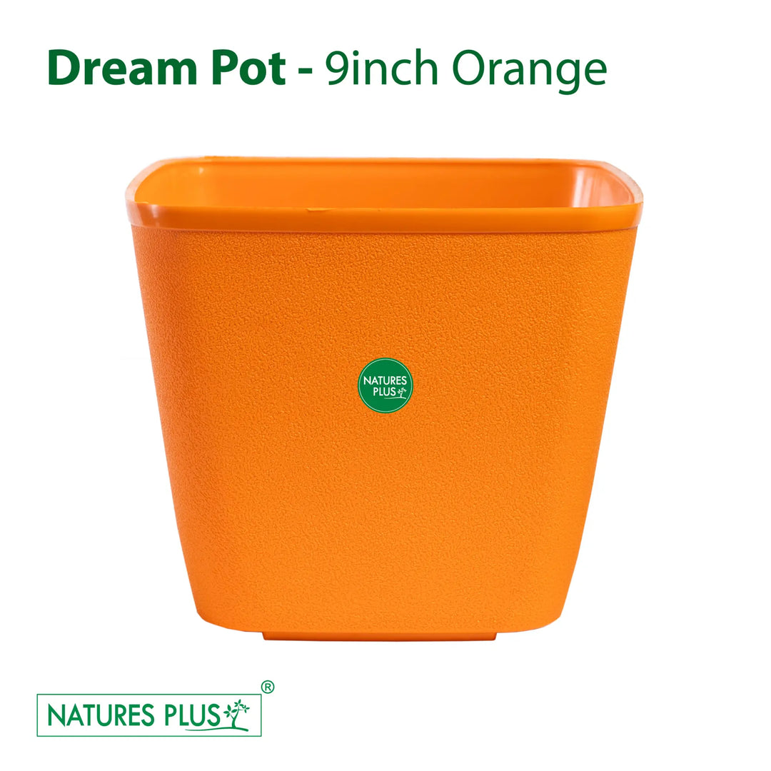 Dream Pot Orange – 9 Inch (Pack of 2)