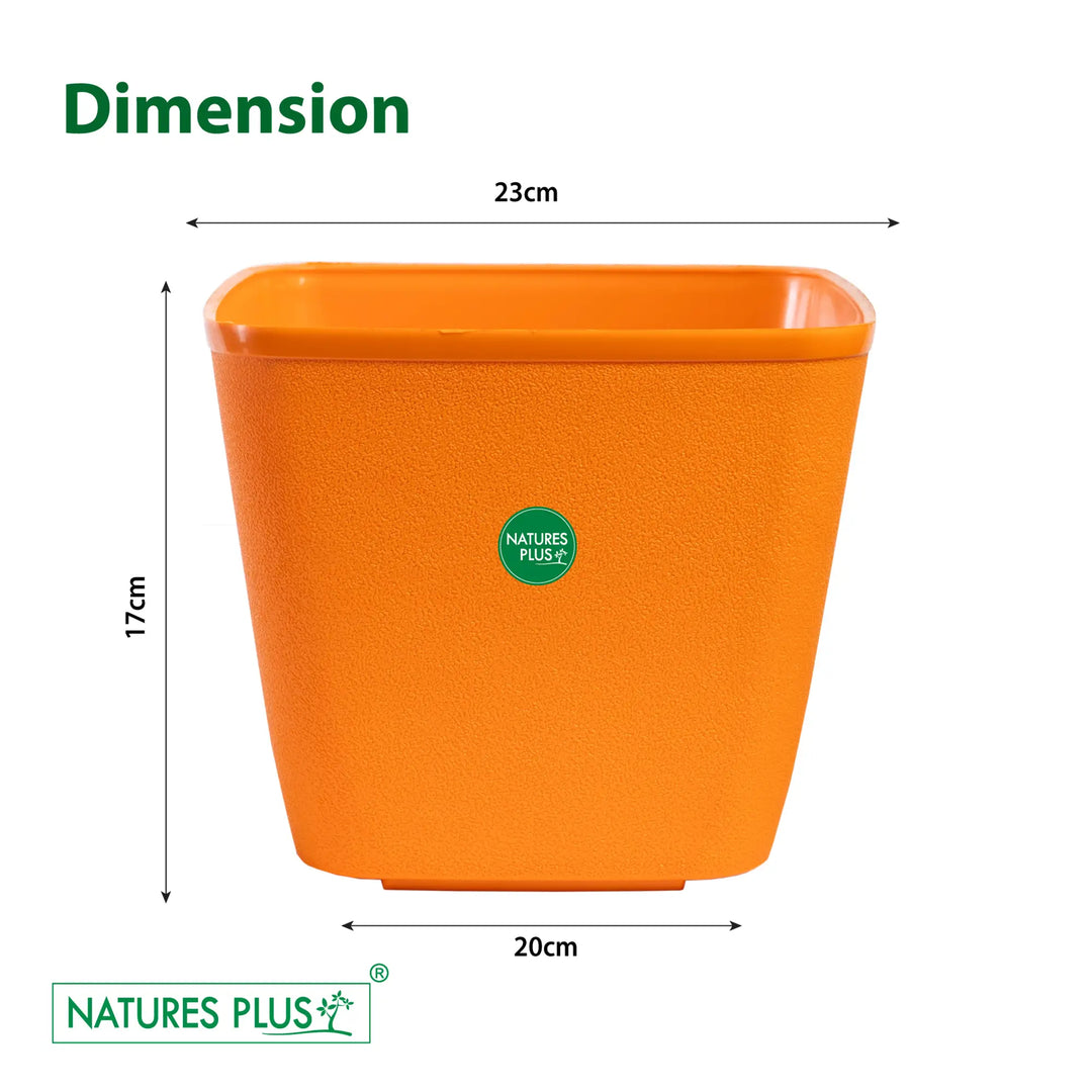 Dream Pot Orange – 9 Inch (Pack of 2)