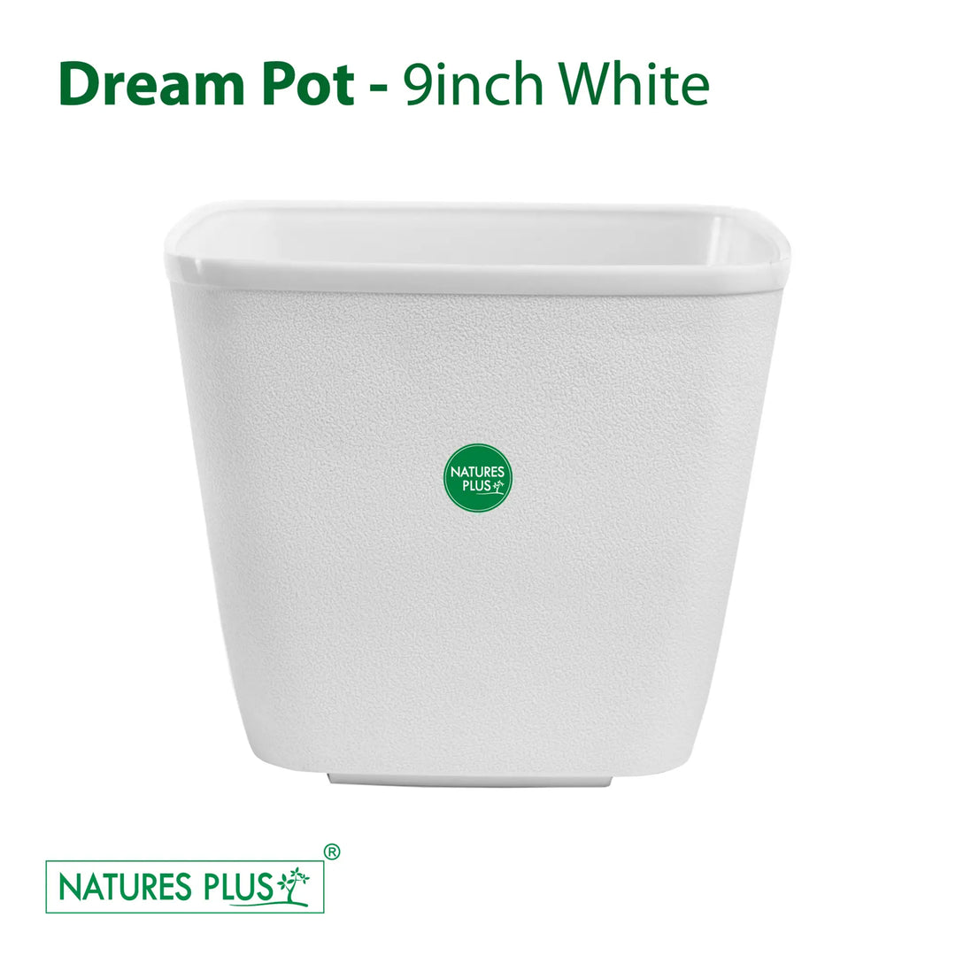Dream Pot White – 9 Inch (Pack of 2)