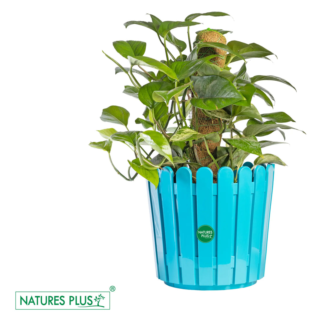 Fence Pot Blue – 11 inch (Pack of 2)