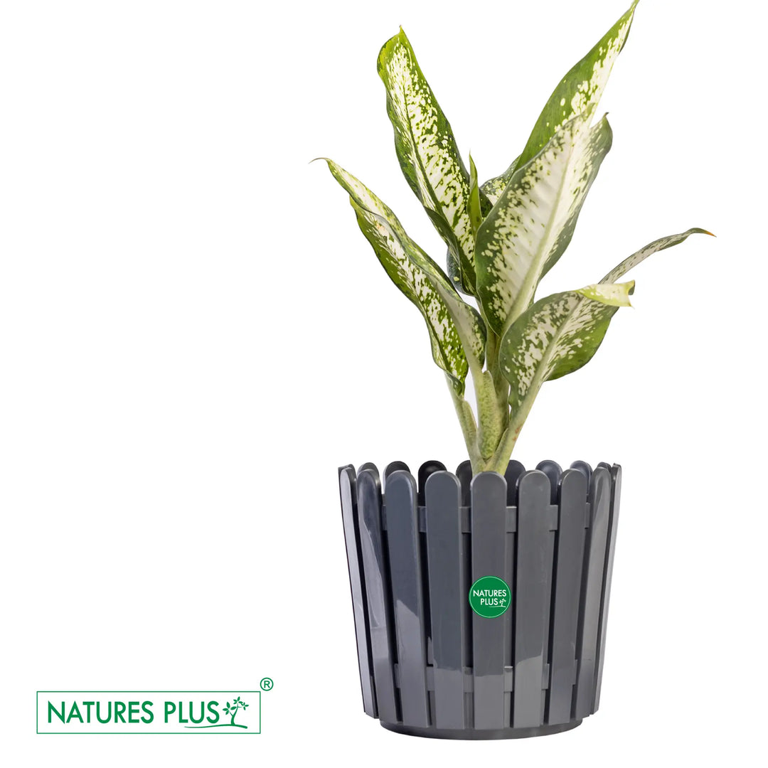 Fence Pot Grey – 11 inch (Pack of 2)