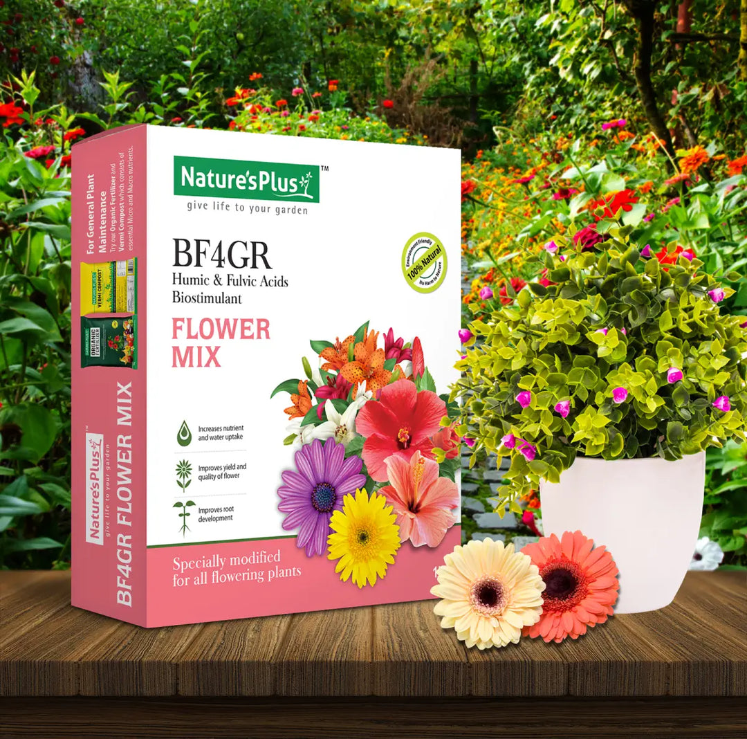 Flower Mix – 1 Kg