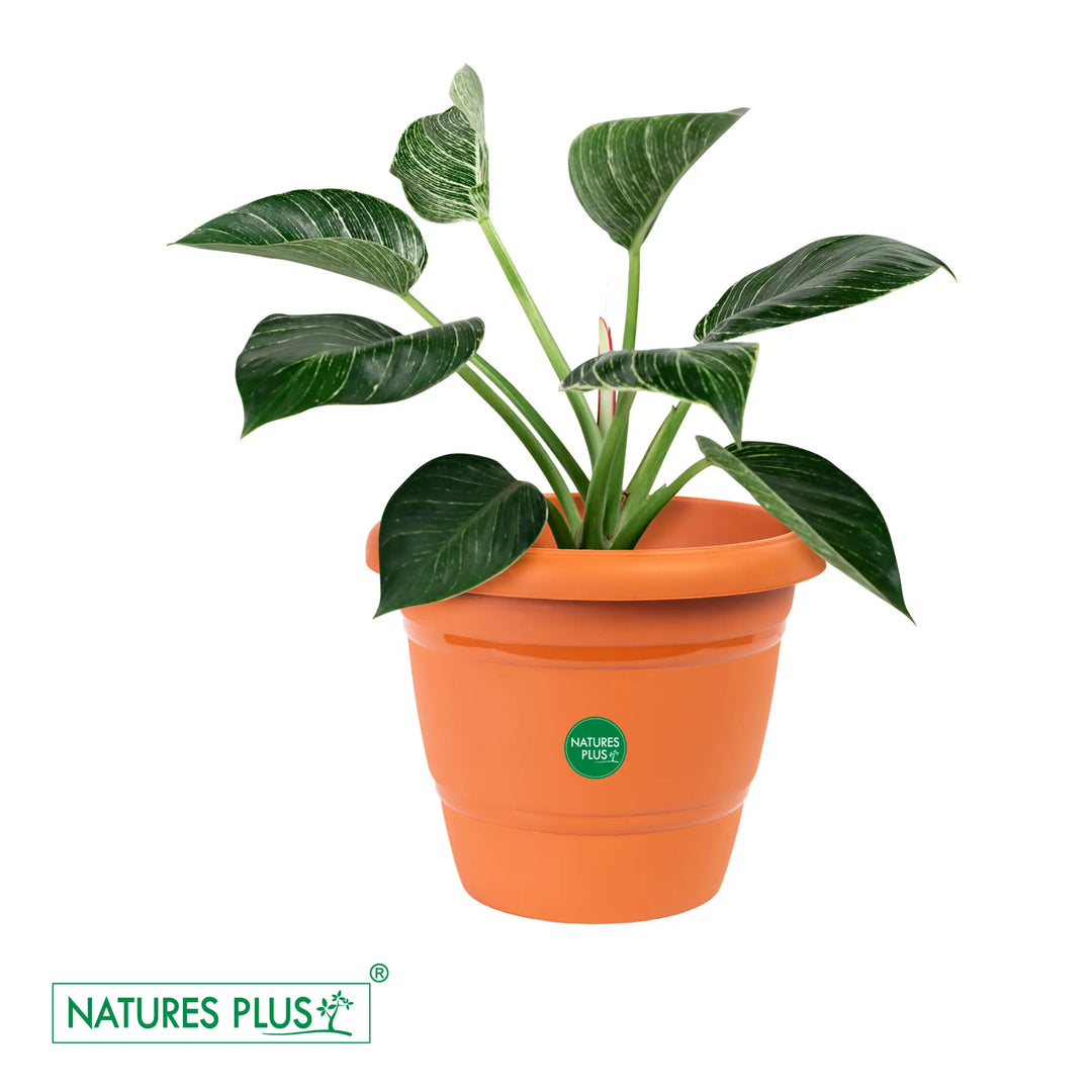 Flower Pot 40 Brown – 4 inch (Pack of 4)