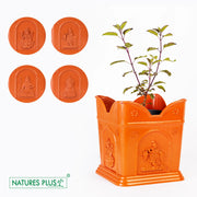 Tulsi Pot Small – 6 Inch