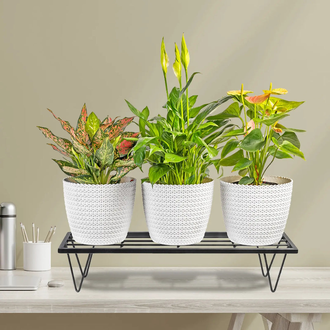 rectangular indoor plant stands Metal Planter Stand – Rectangular – Urbanthota