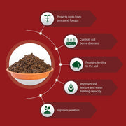 Neem Mix – 1 Kg (Pack of 2)