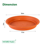 Planter Tray 100 Brown – 10 Inch (Pack of 4)