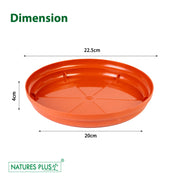 Planter Tray 120 Brown – 12 inch (Pack of 4)