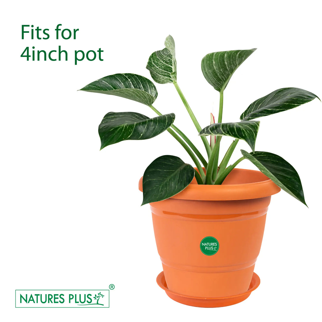 4 inch indoor planter Planter Tray 40 Brown – 4 Inch (Pack of 10) – Urbanthota