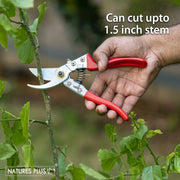 Pruning Shear – Heavy Duty
