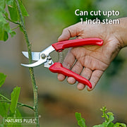 Pruning Shear