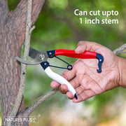 Pruning Sheer Red & White