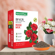Rose Mix – 500 gm