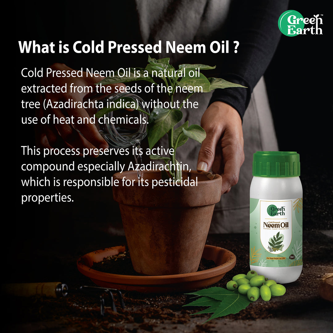 Neem Oil